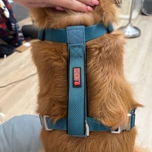 KONG Comfort Dog Harness
